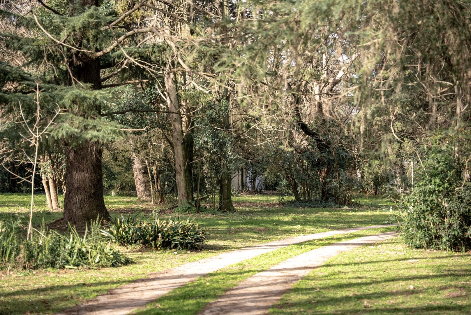 Miguel De Unamunu 6200