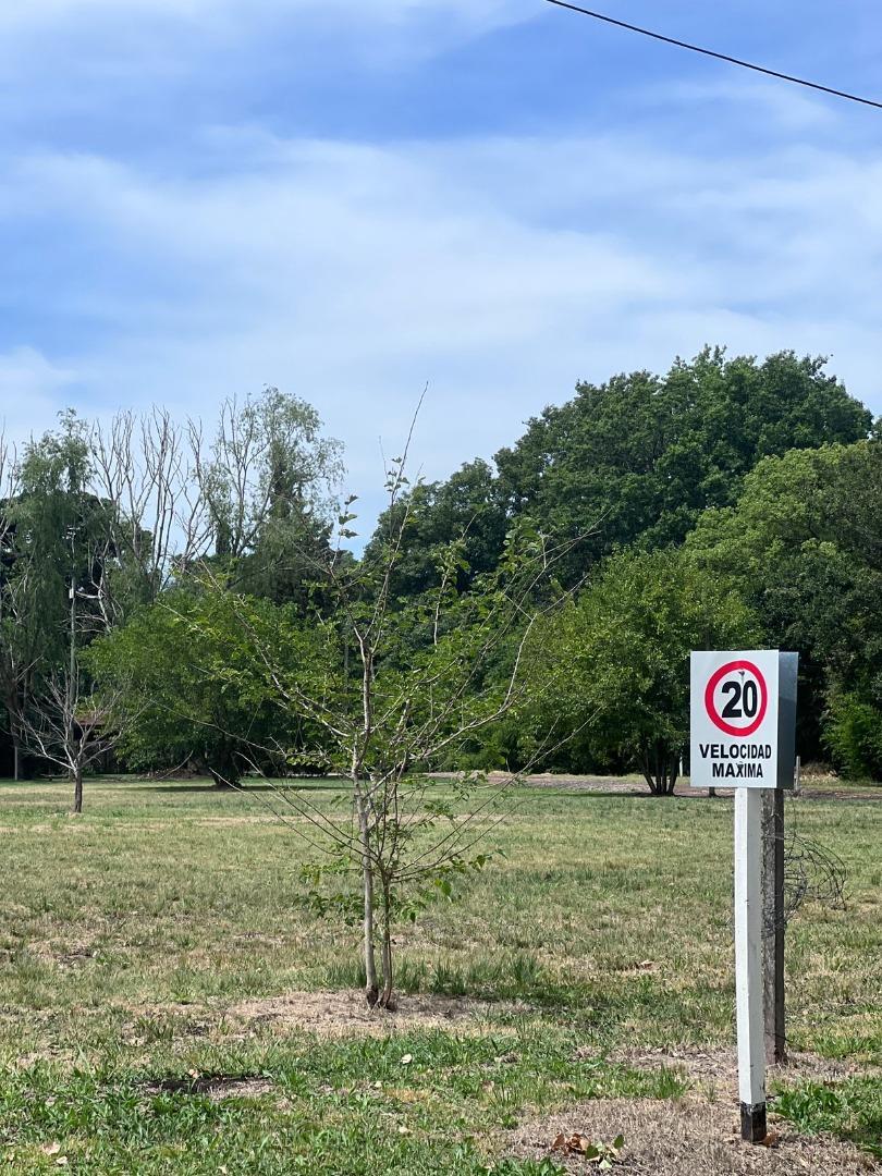 Terreno en Venta de 440,0 m2