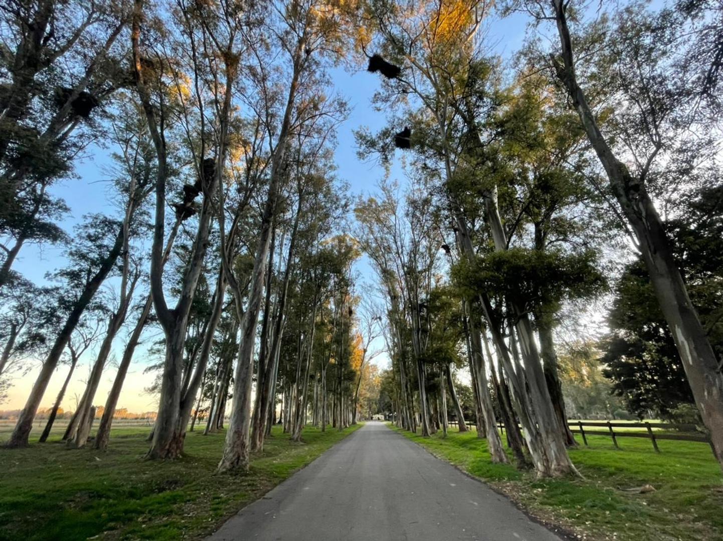 Terreno en Venta en Haras San Pablo, USD 92.000