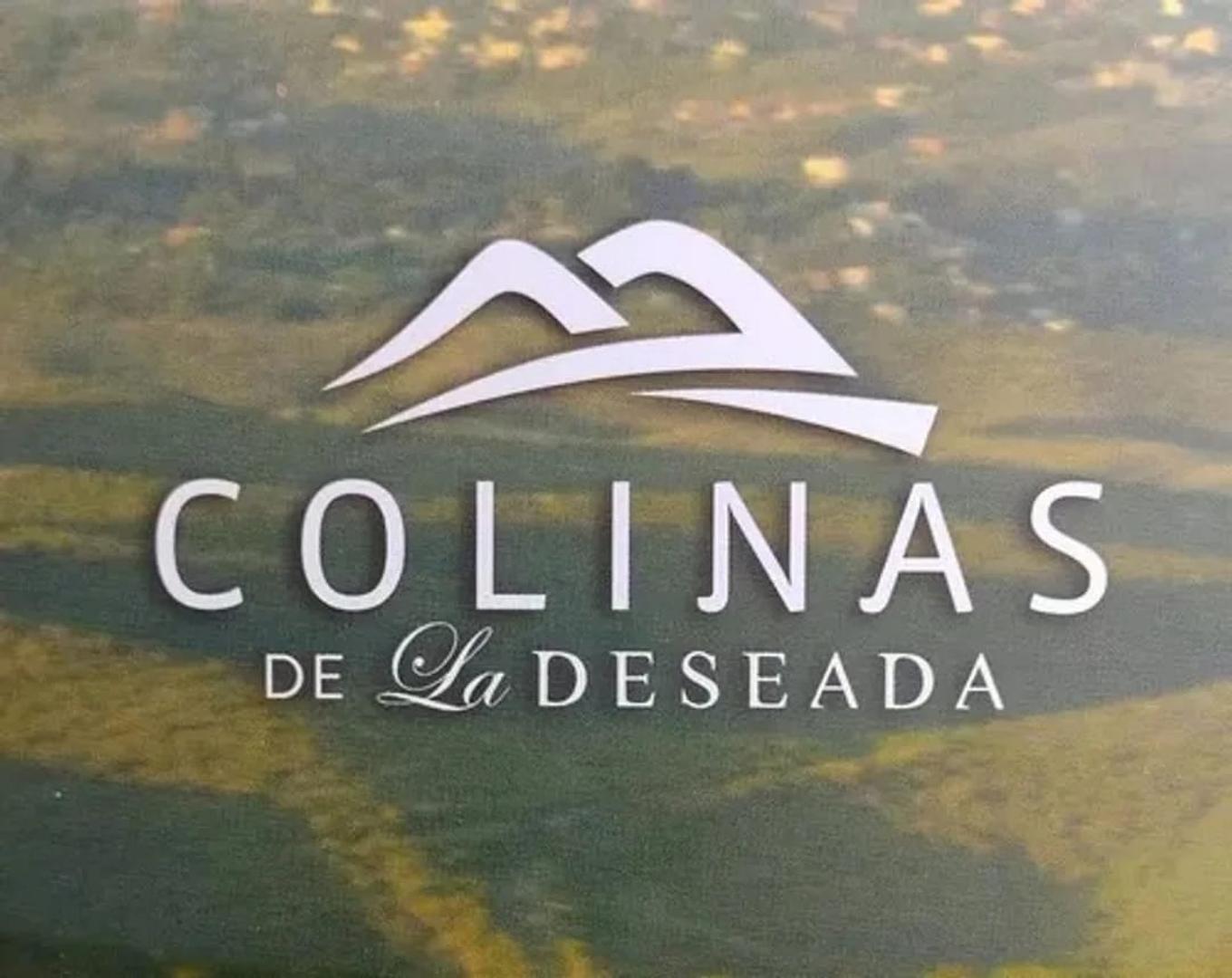 Colinas De La Deseada 100