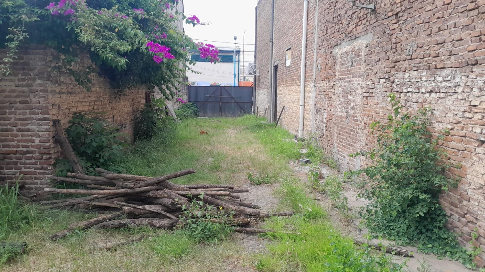 Terreno en Alquiler de 503,0 m2