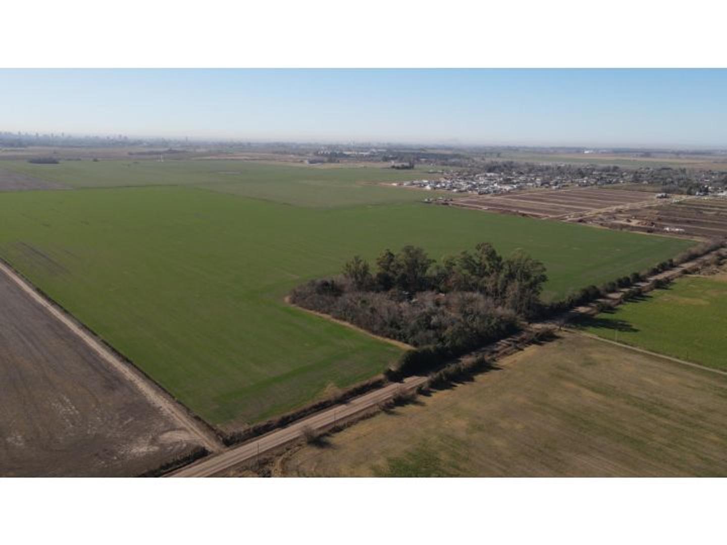 38 has en Ricardone, aptas loteo