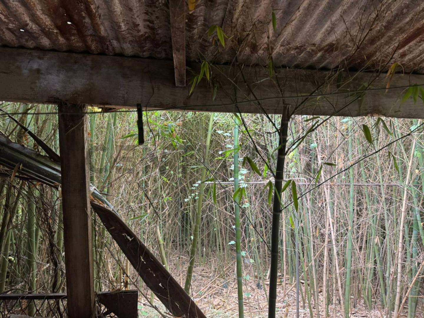 Casa en Venta a Reciclar 3 dormitorios en Los Hornos, La Plata
