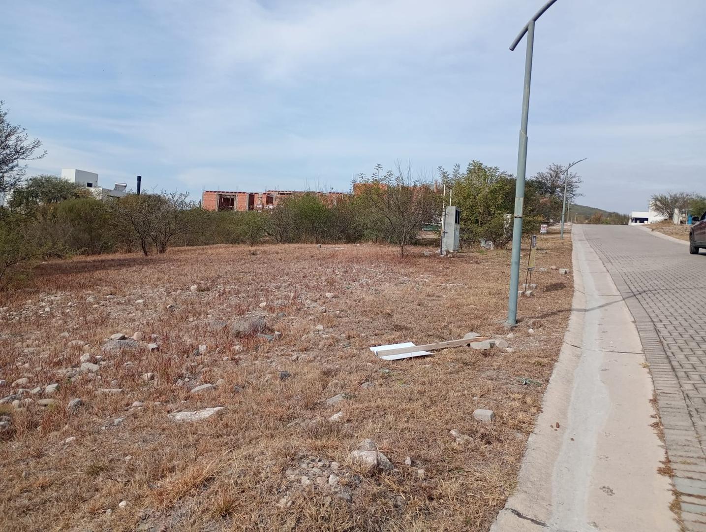 Colinas De La Deseada 100