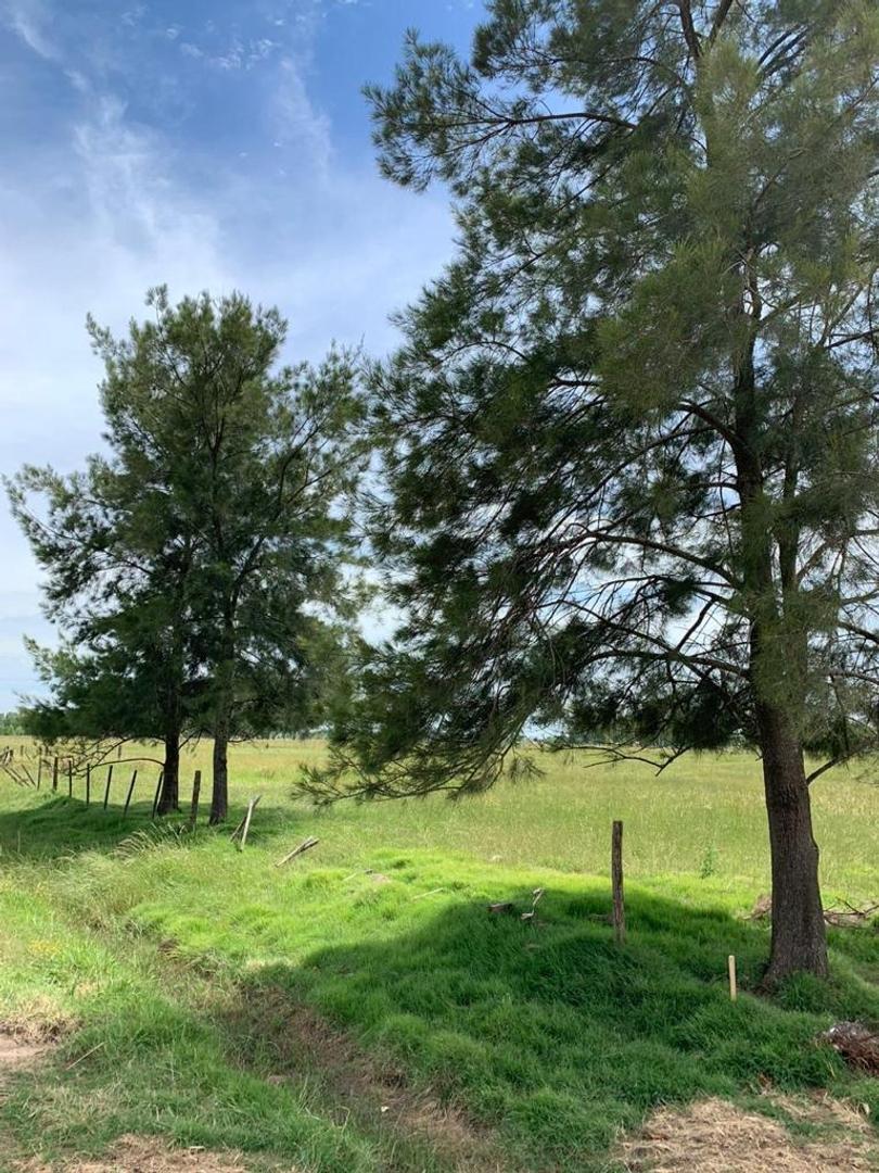 Terreno en Venta en Mercedes, USD 40.000