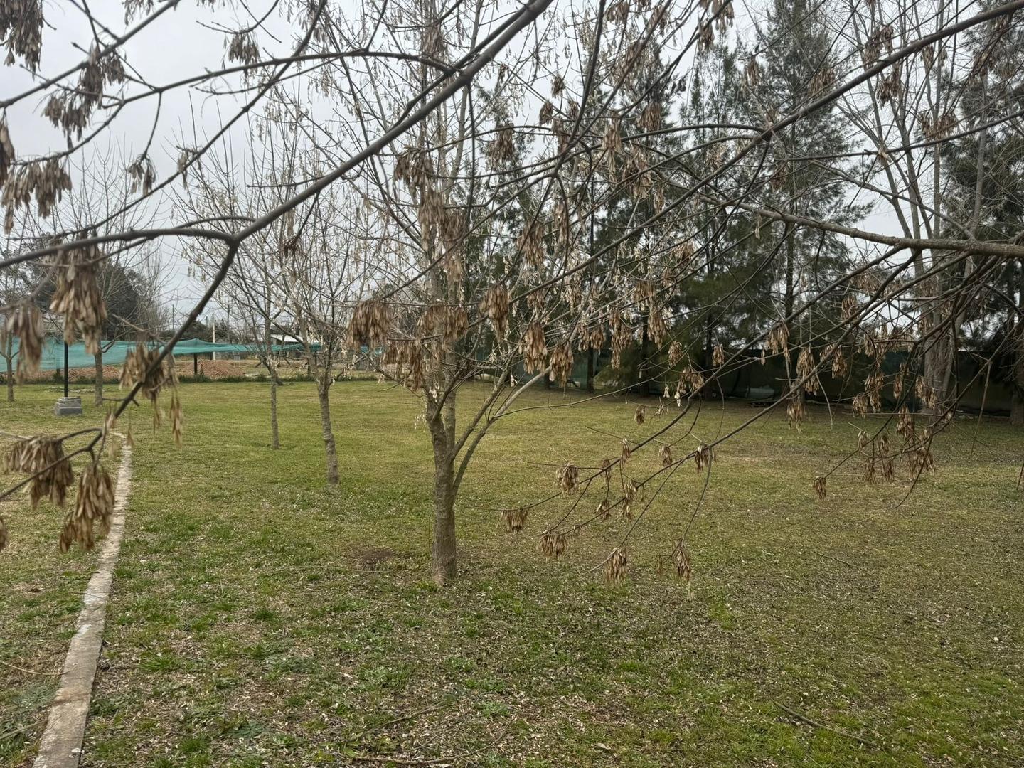 Quinta en Venta en Cañuelas, USD 145.000