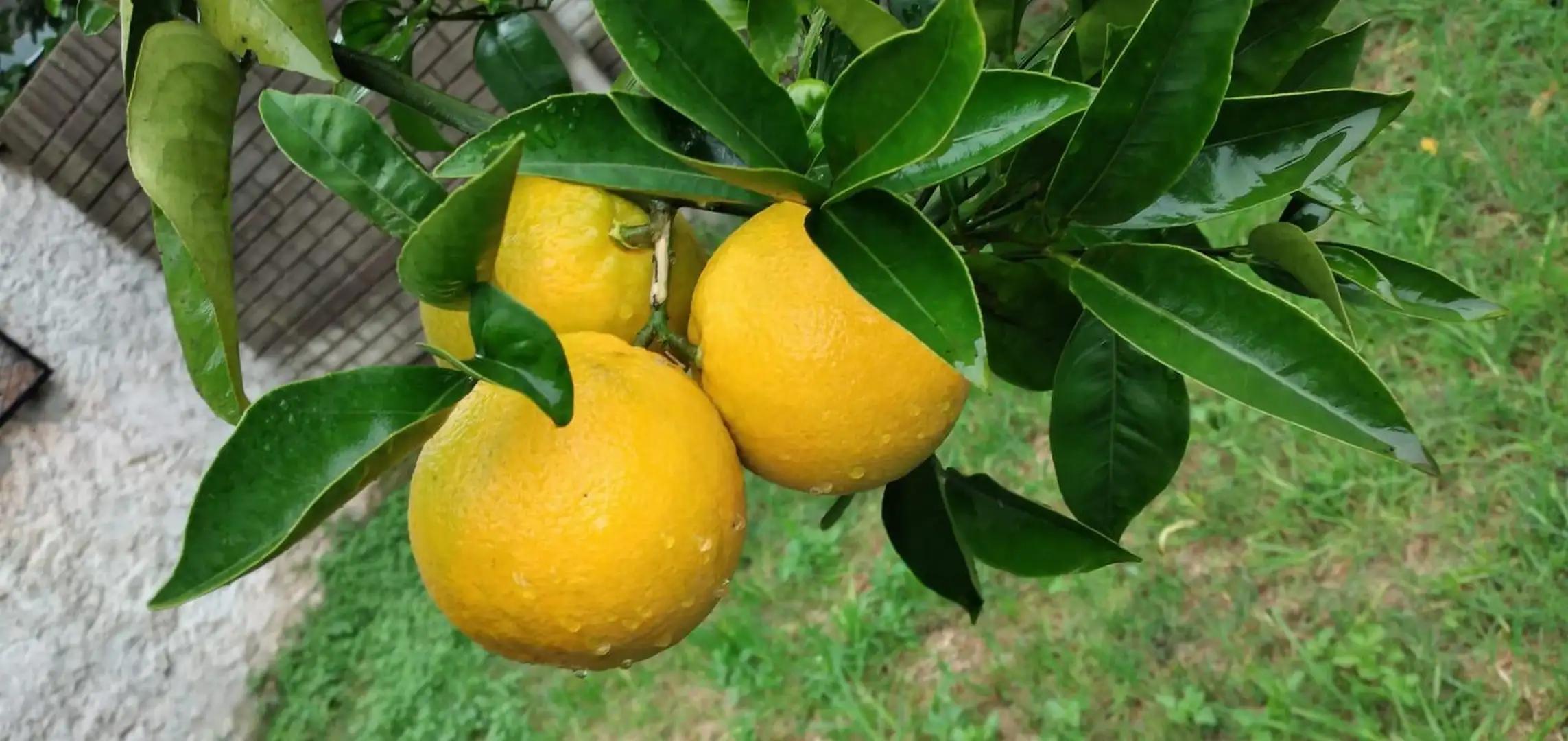 Casa en Venta en La Plata, USD 80.000