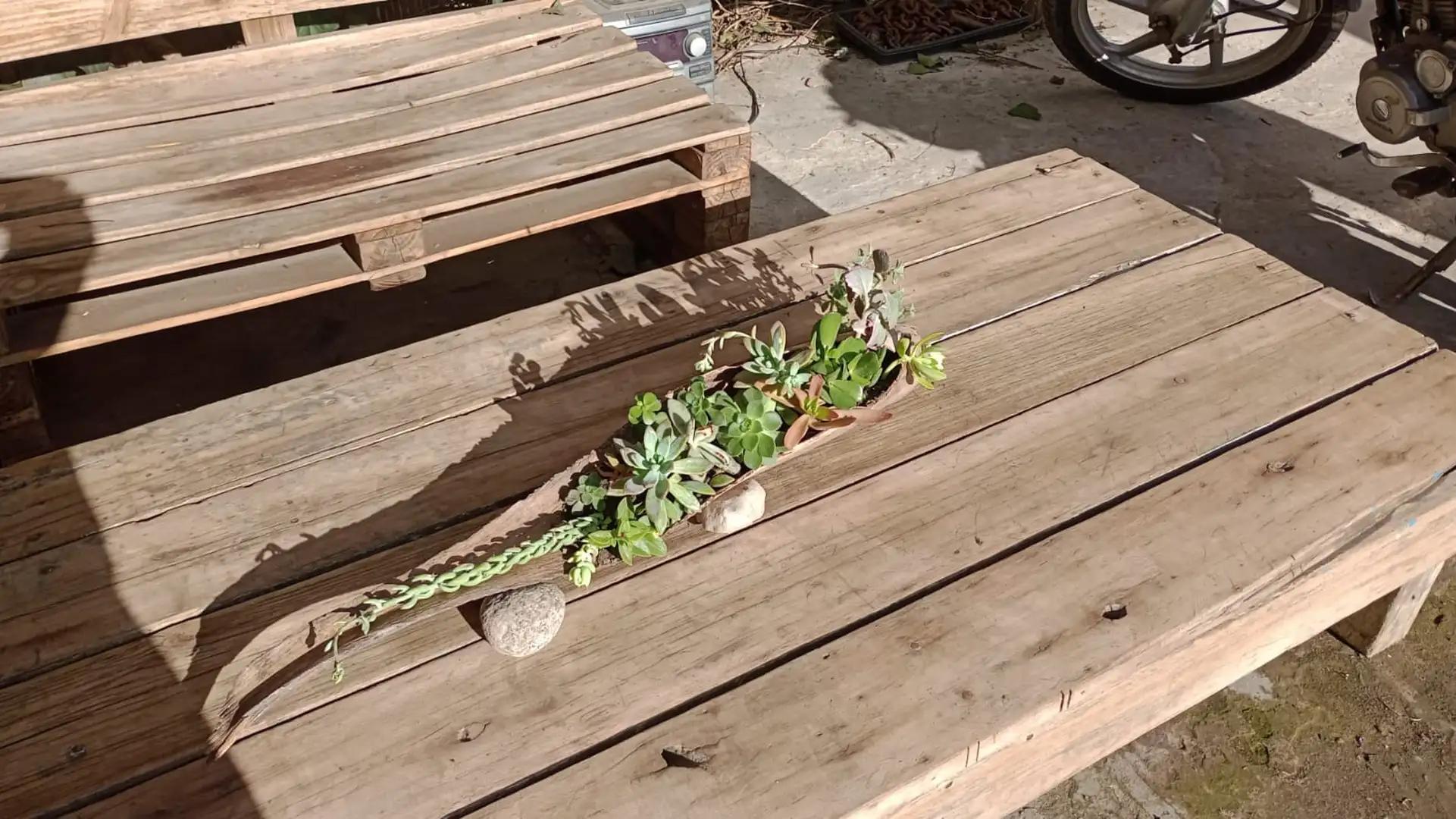 Casa Manuel Alberti Cod. M027v