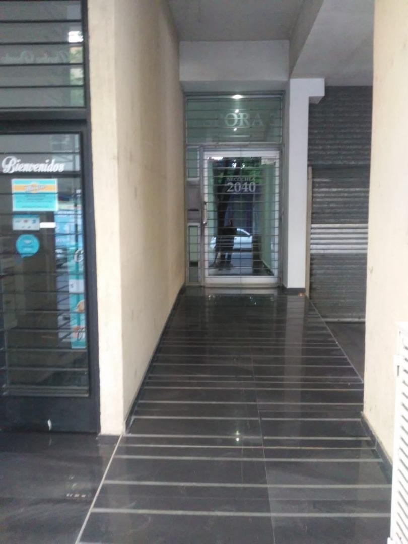 Necochea 2040 , Piso 2