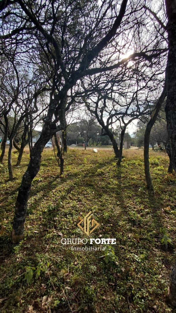 Terreno en Venta de 850,0 m2