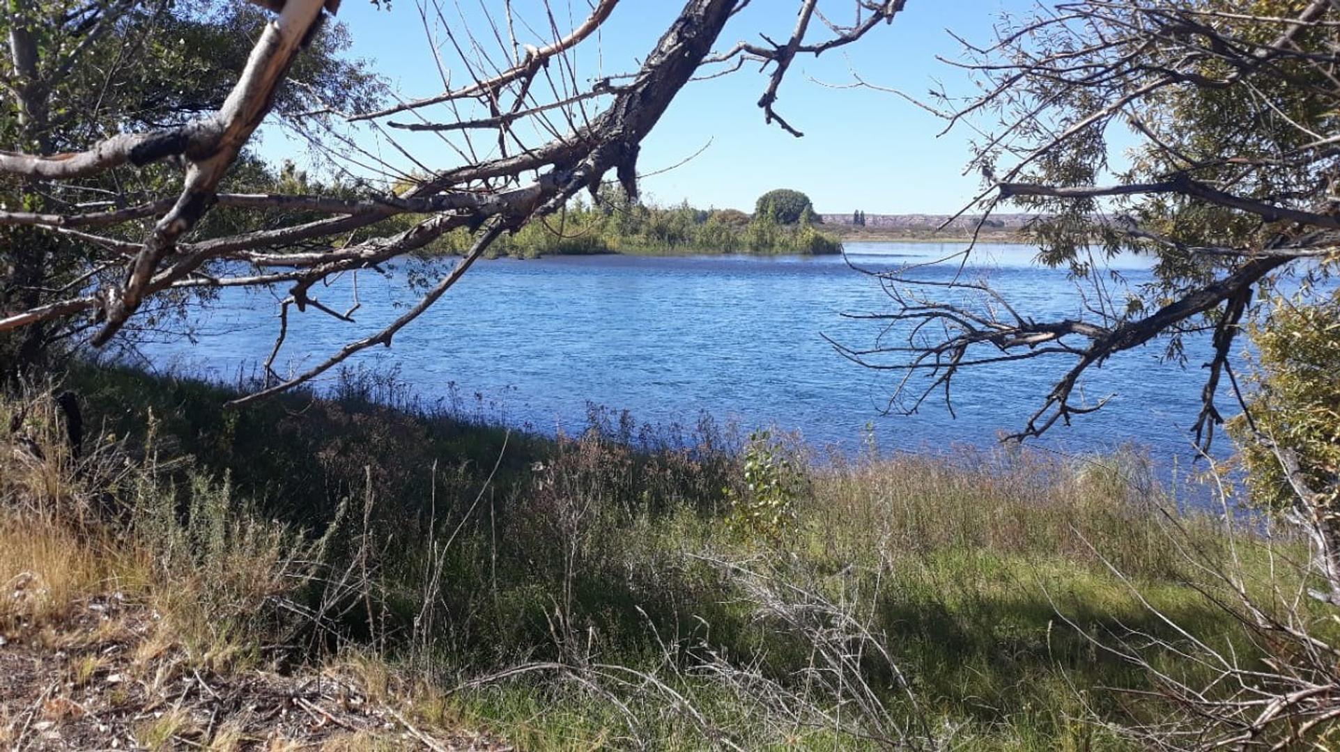 Vendo hectáreas con costa al Rio en Arroyito