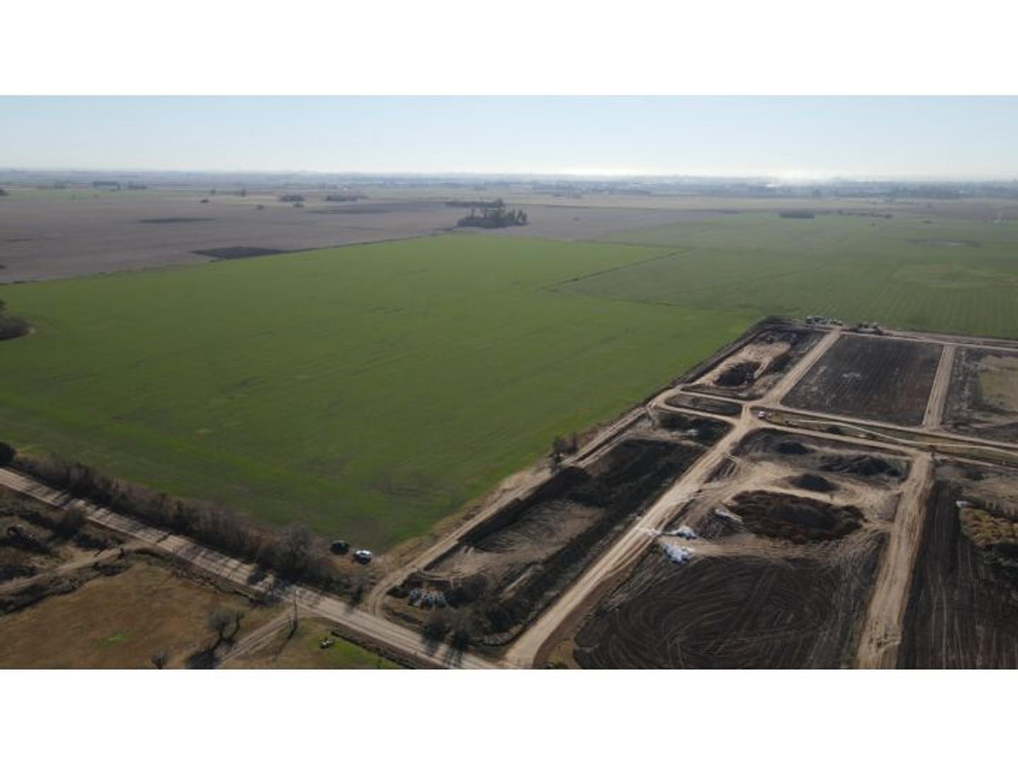 38 has en Ricardone, aptas loteo