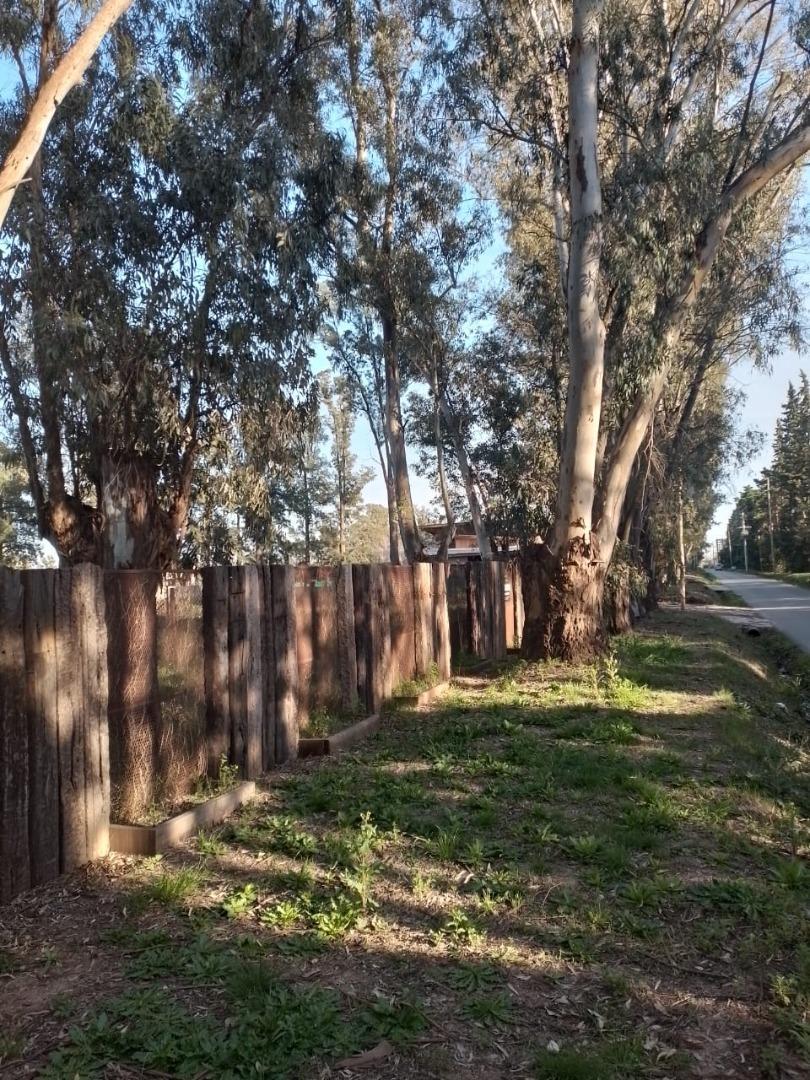 Mgm. Venta Precioso Terreno Barrio Ecoislandia