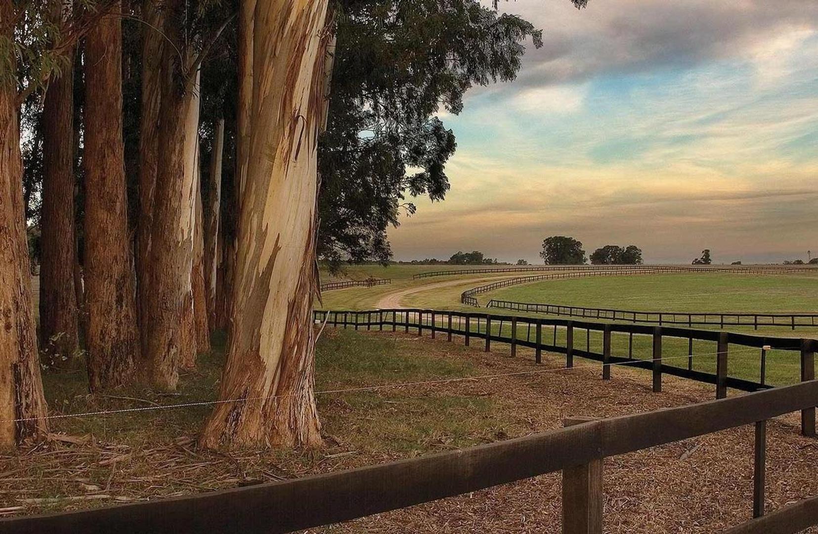 Lote En Venta ,barrio Quebradas,