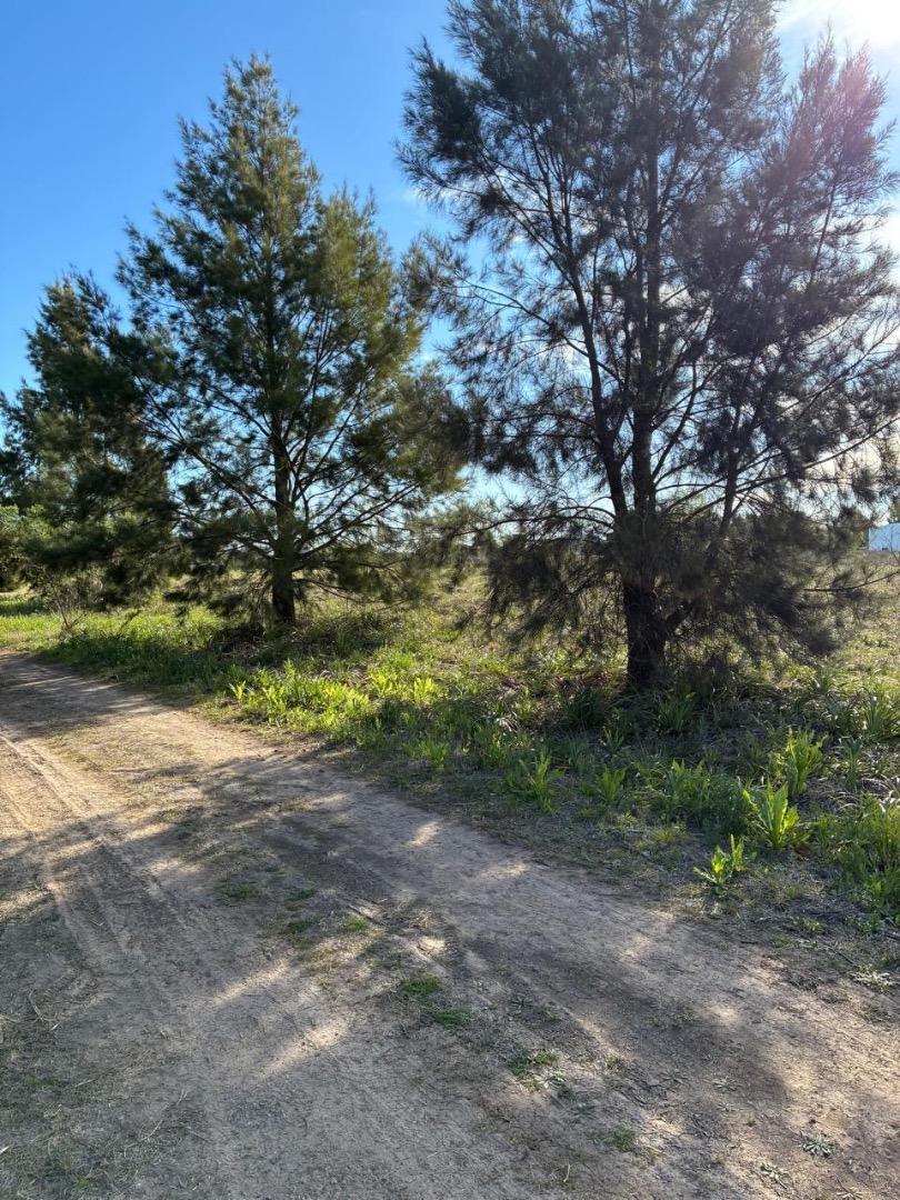 Terreno en Venta de 2006,0 m2