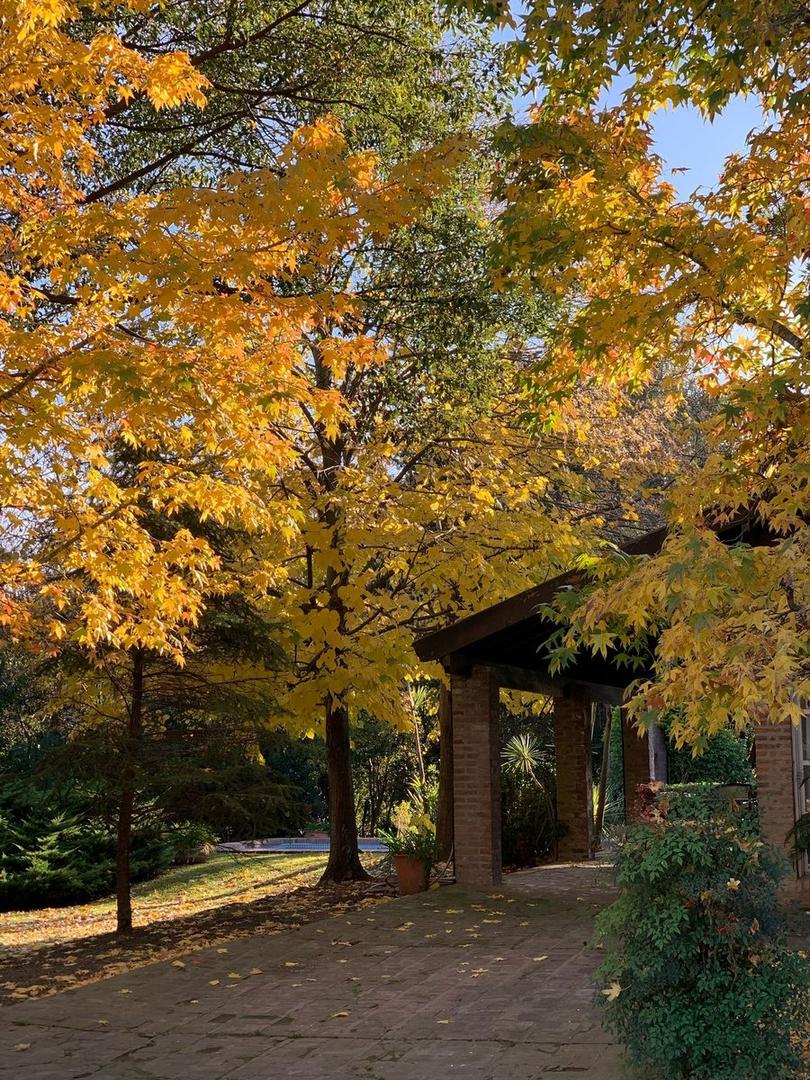 Casa en Alquiler 40 años