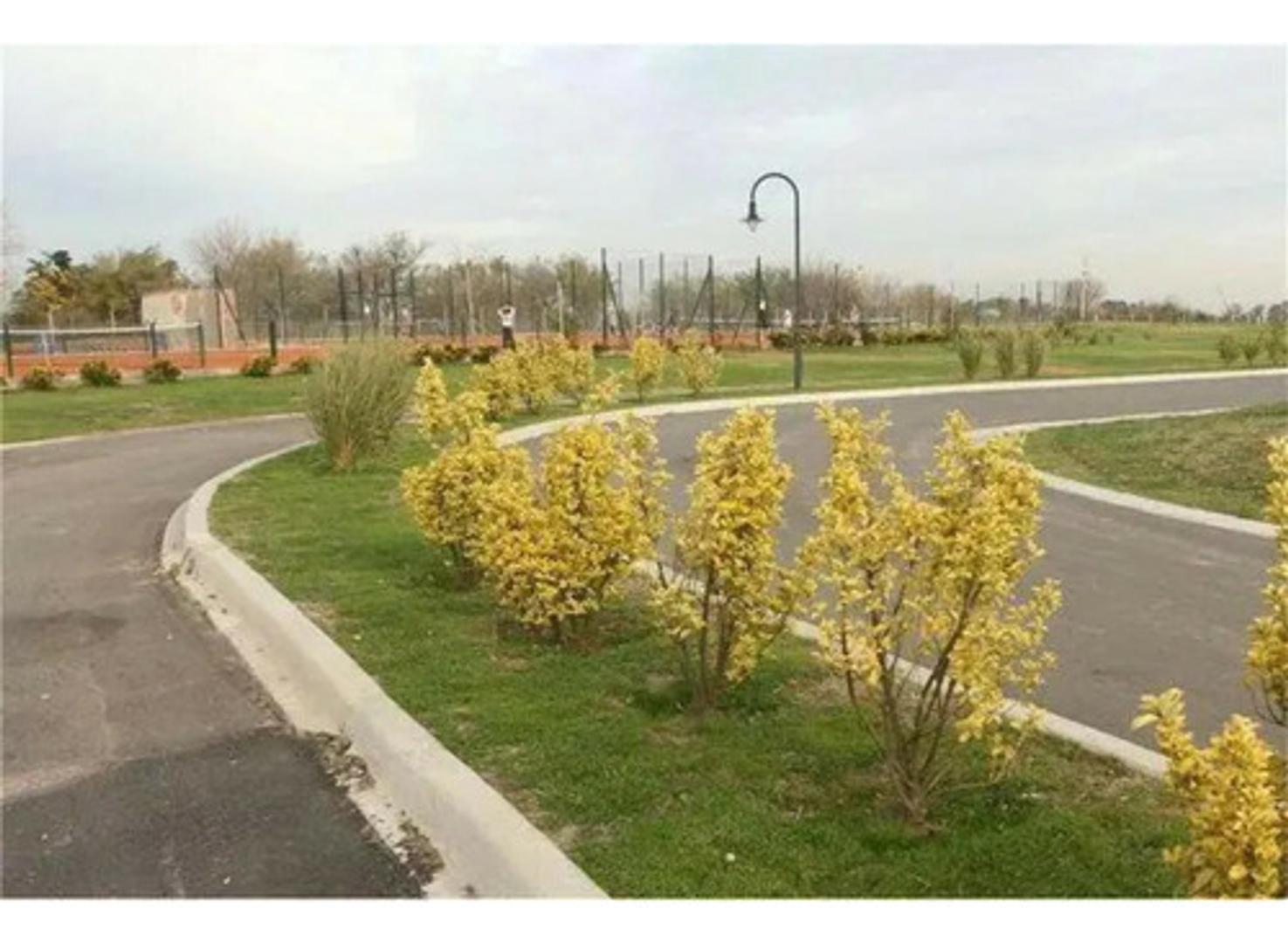 Terreno en Venta en Santa Rita, USD 55.000