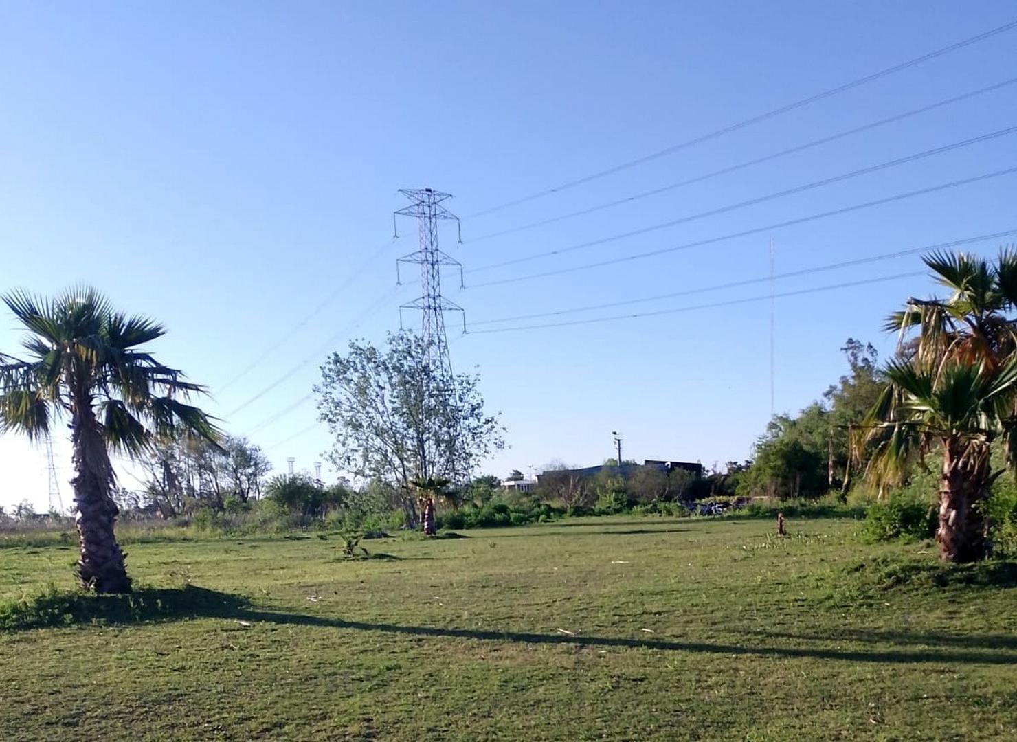 CUATRO LOTES EN ALQUILER EN VILLANUEVA