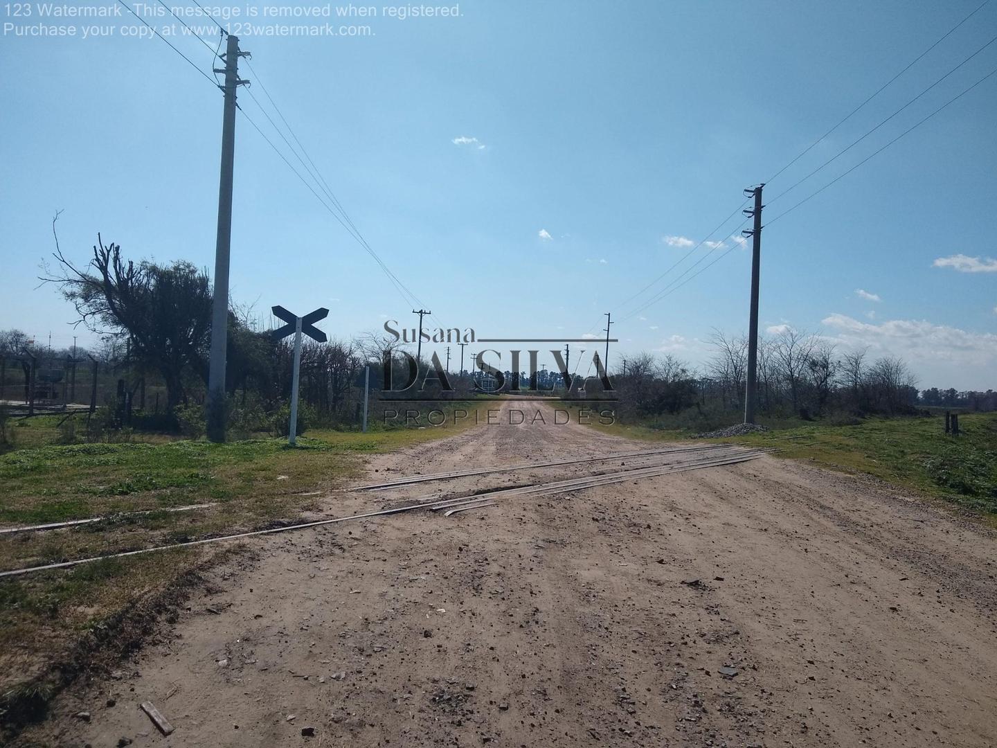 Calle Libertad, 85 Hectareas