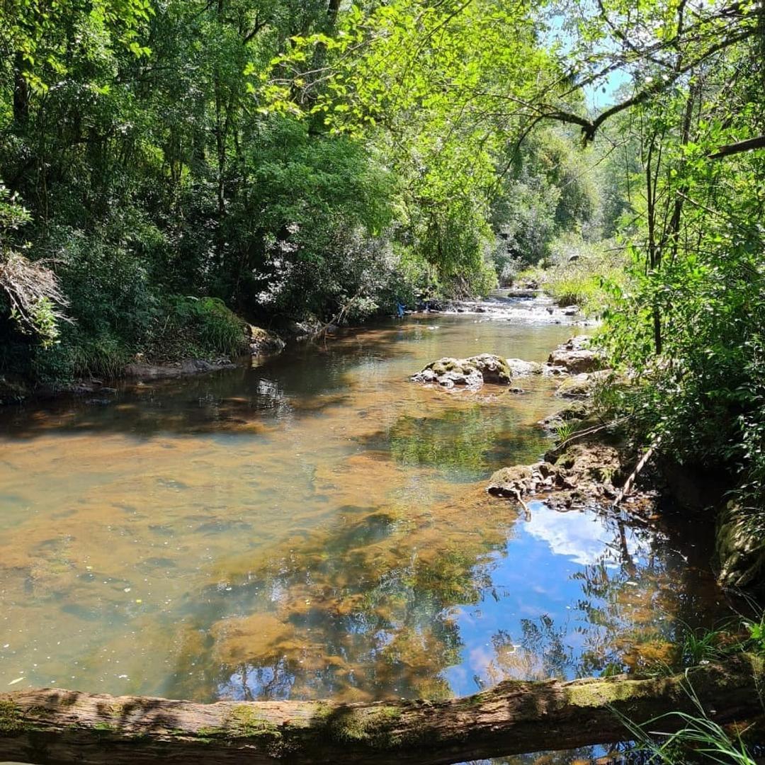 55 has en Aristobulo del Valle