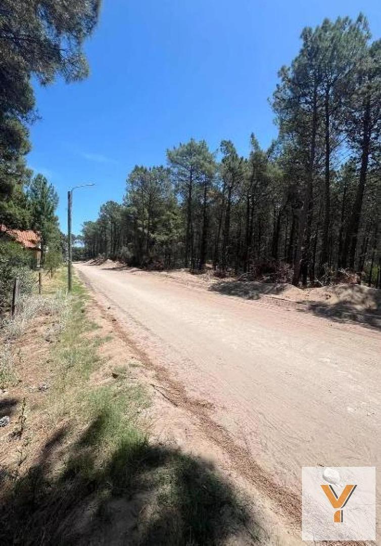 Bosque Alegre y El Chimango