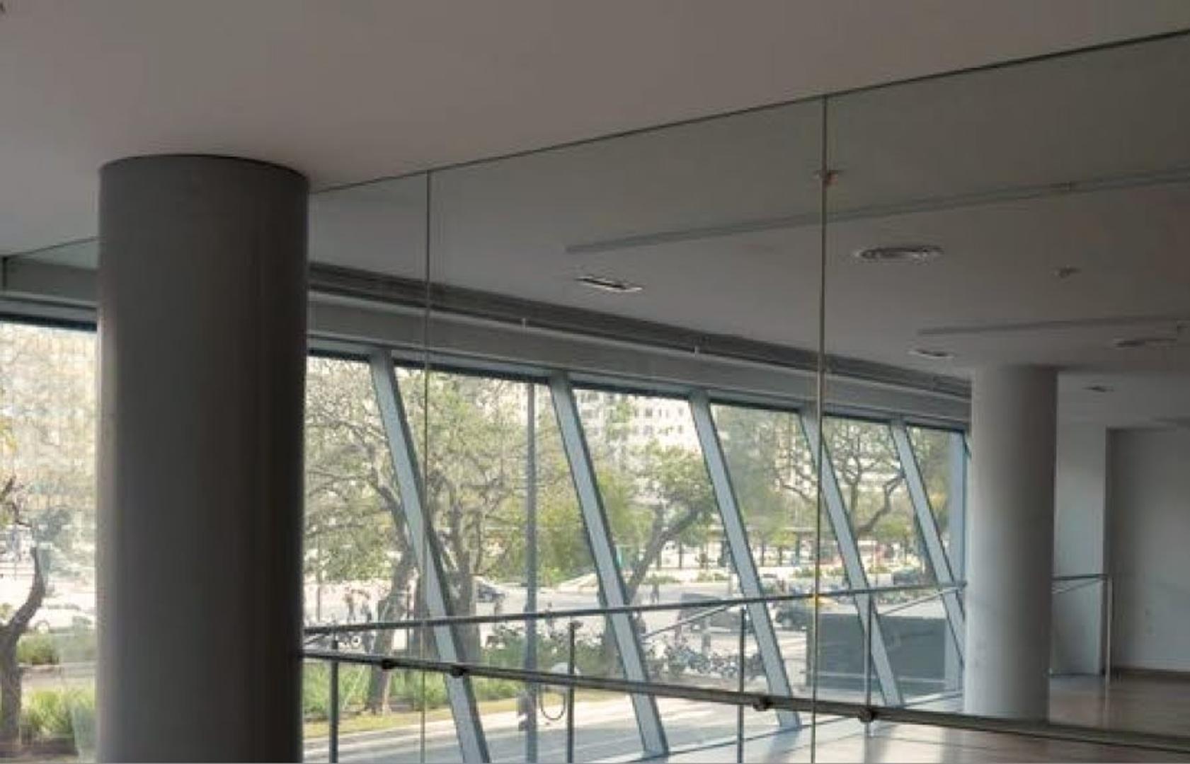 Carlos Pelegrini 650