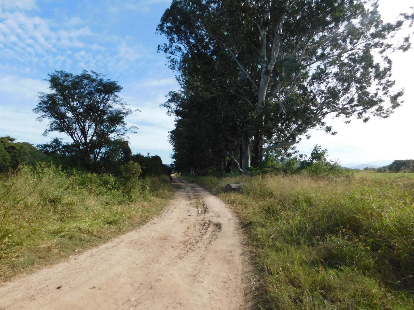 FINCA 34HAS. EN BETANIA GRAL. GUEMES