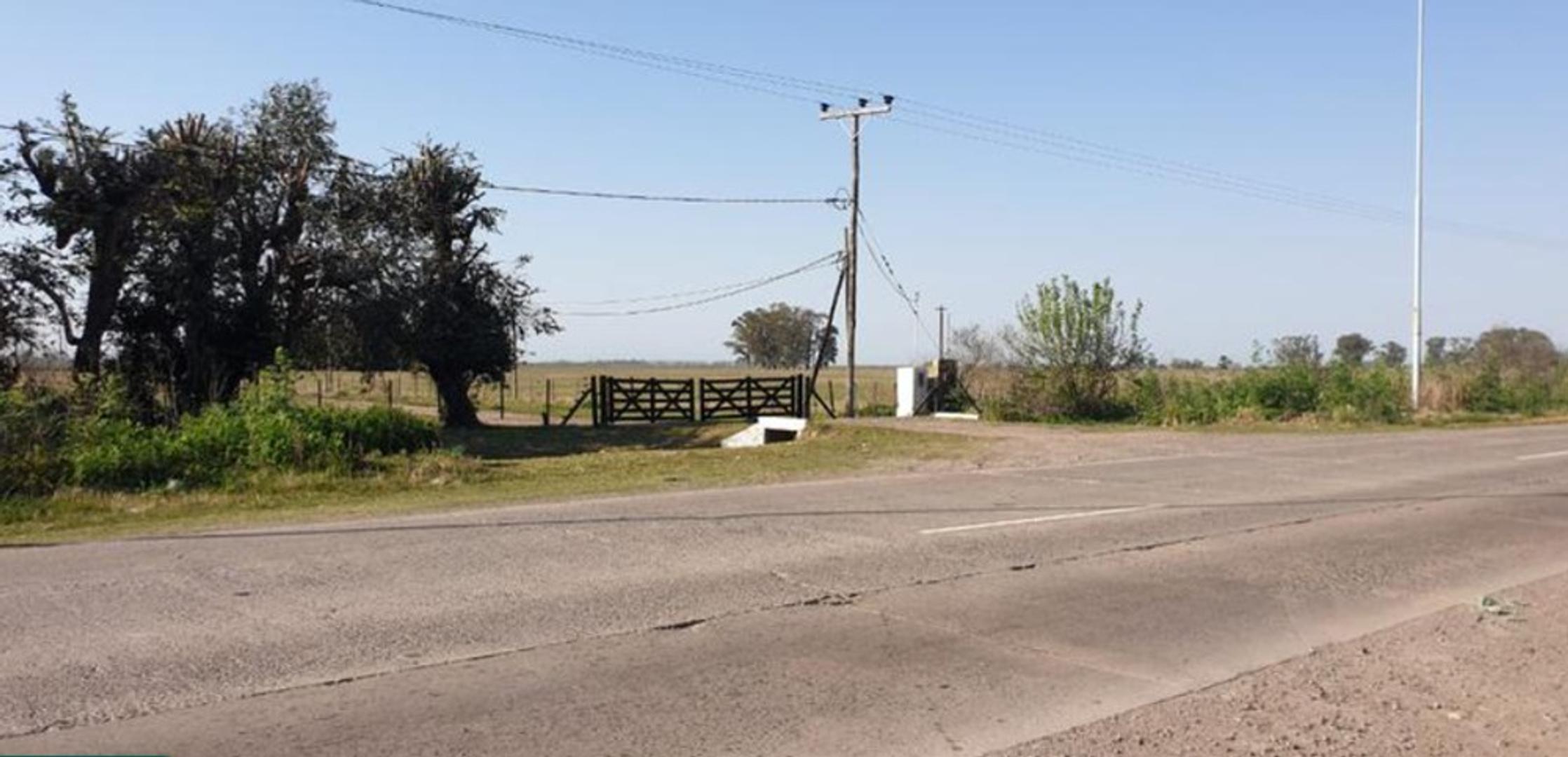 CAMPO VENTA GENERAL RODRIGUEZ