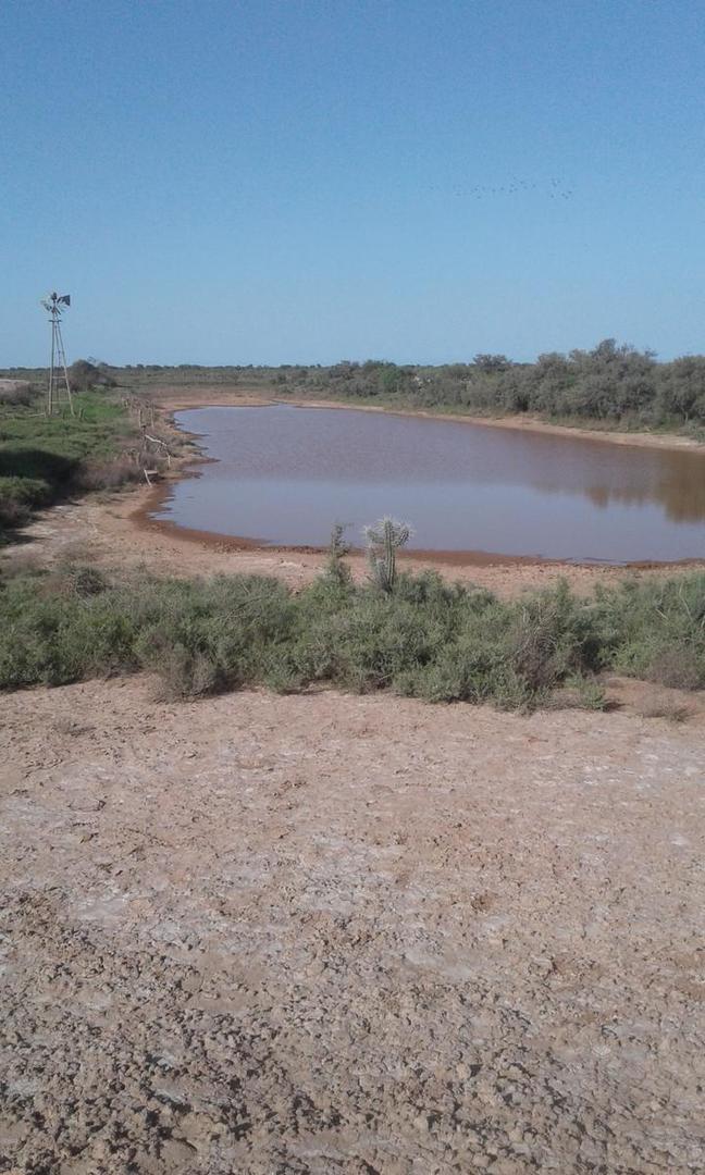 1000 ha en Venta - Herrera - Santiago del Estero