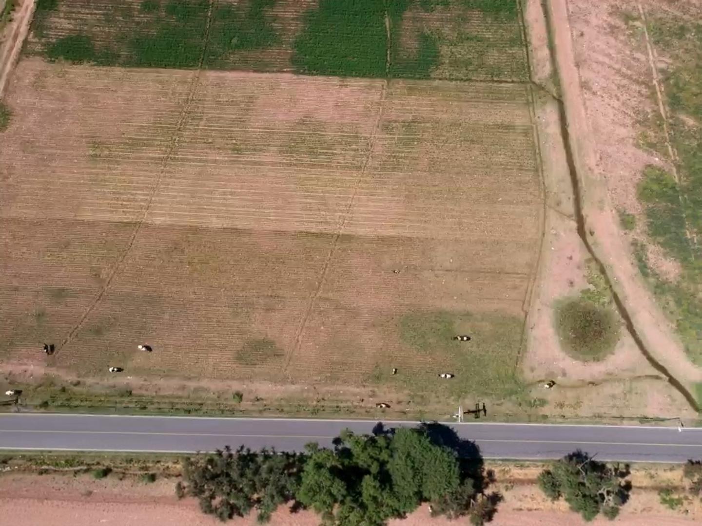 Cabra Corral Terreno 2 Ha