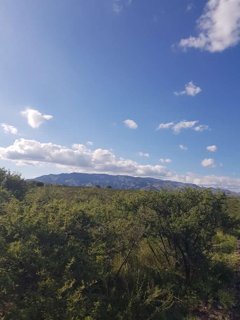 Terreno en Venta de 50000,0 m2