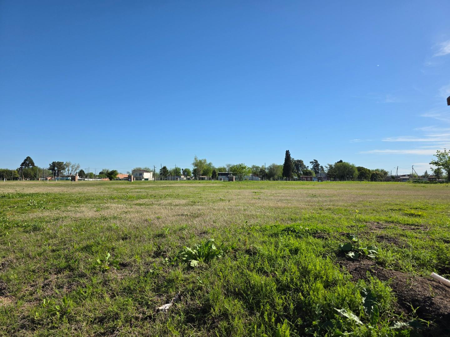 Dr. Manuel Argerich 1200