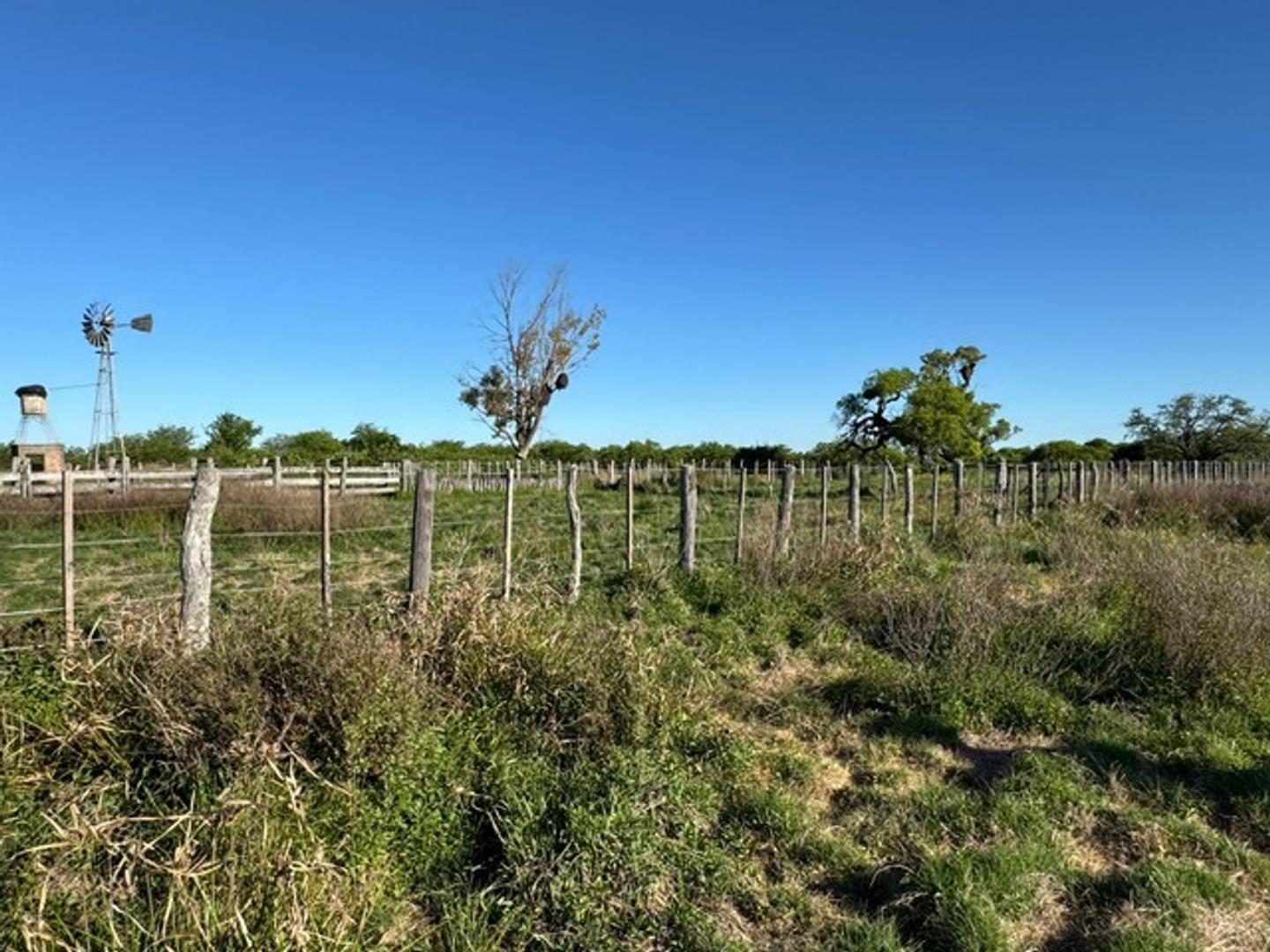 Campo Mixto 600 hectareas Sauce Corrientes