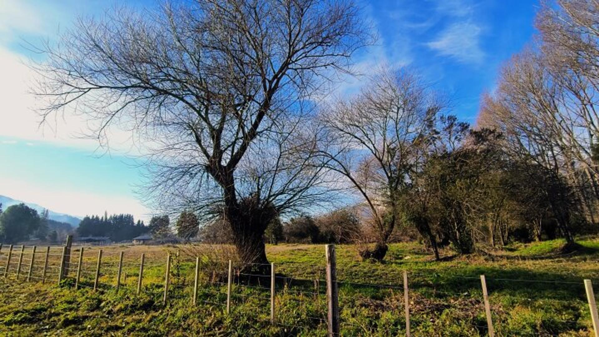 Terreno en Venta 53  mts Fondo