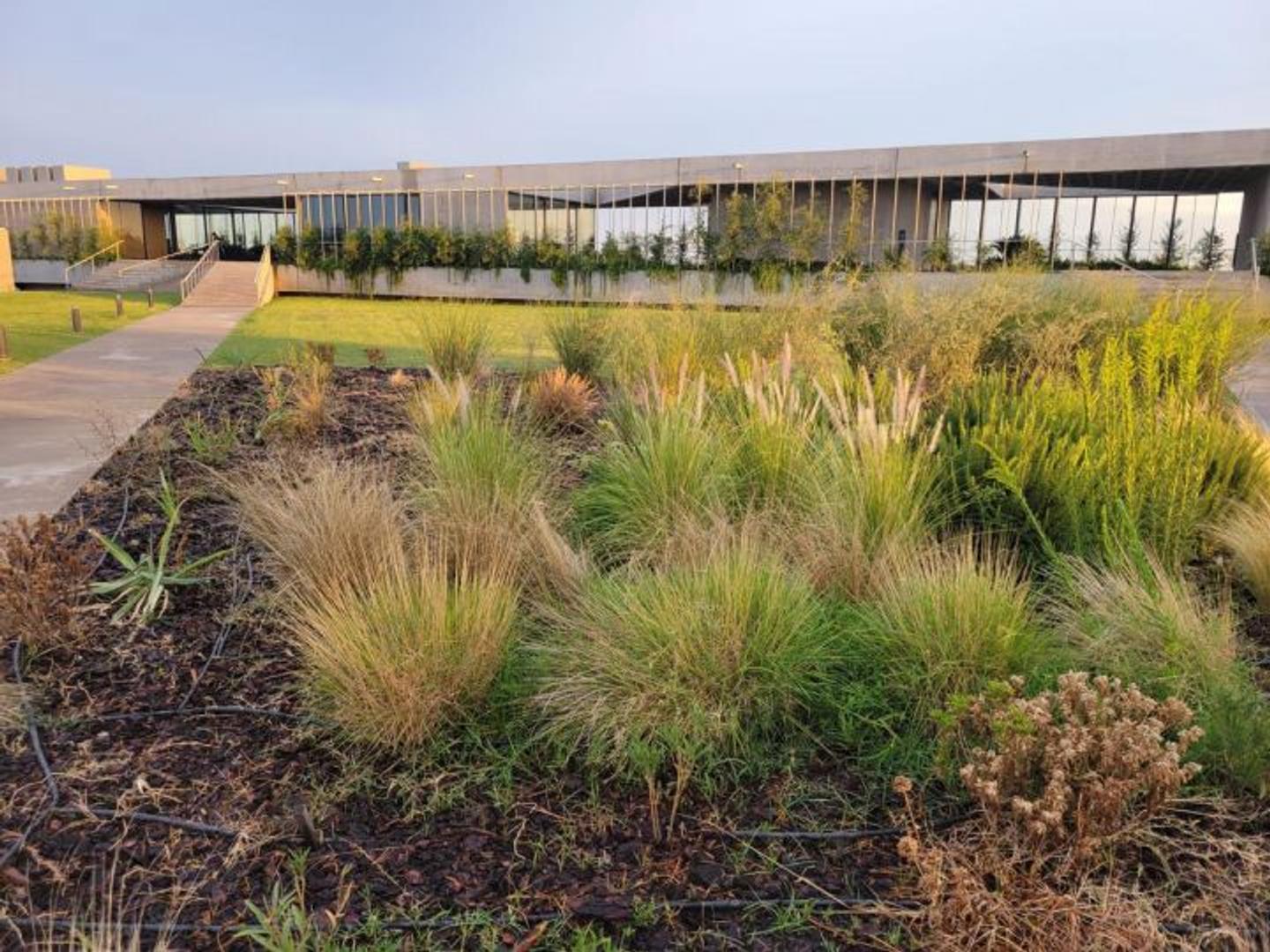 Terreno en Venta 25  mts Frente