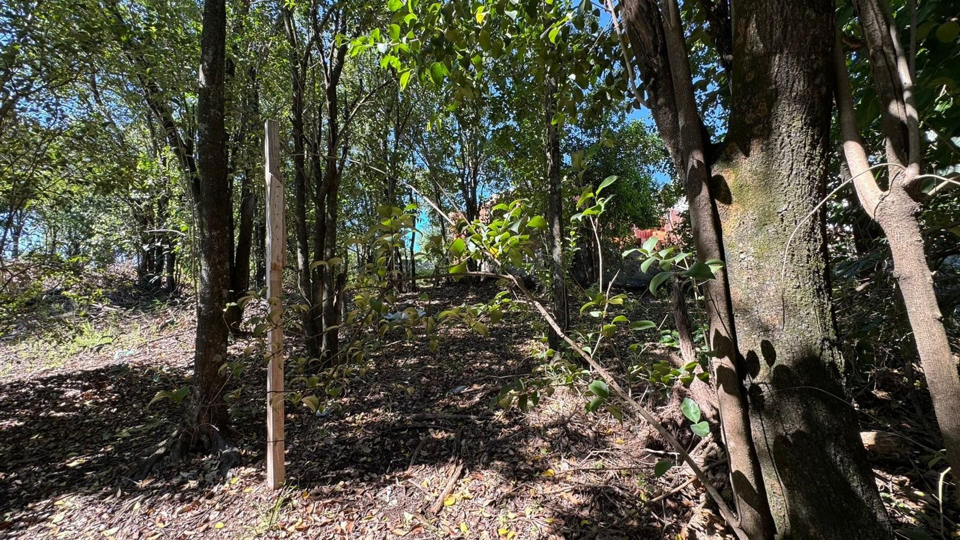 Lote en Venta 300m2 Villa Catalina, Rio Ceballos