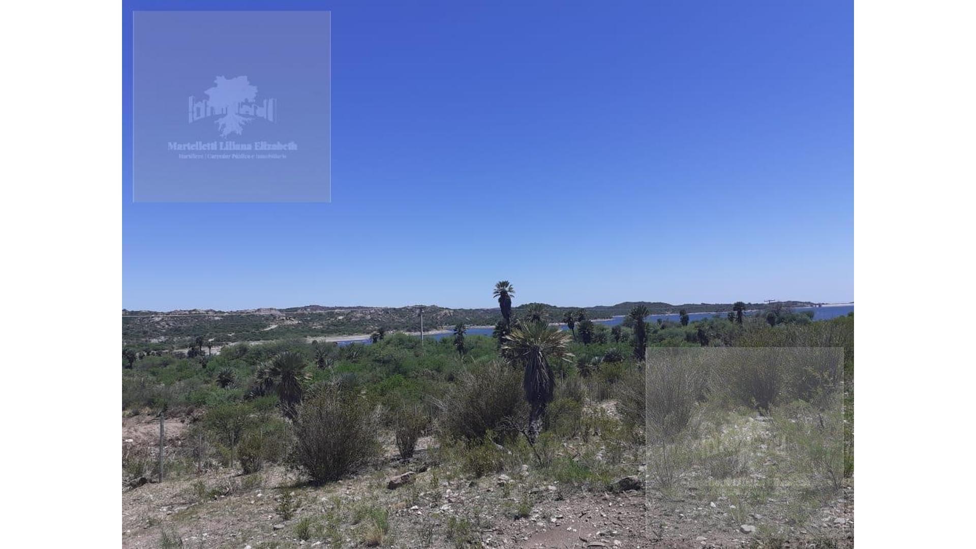 Campo - San Fco Del Monte De Oro