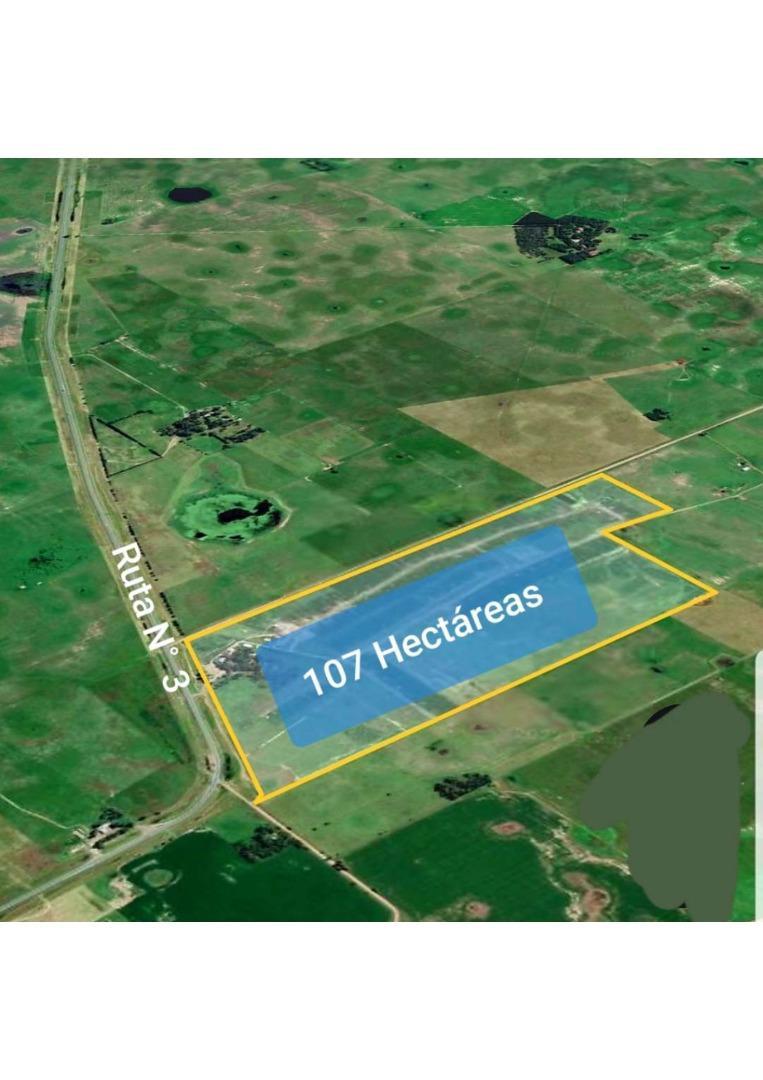 Campo con instalaciones de Feedlot en venta – Las Flores, B