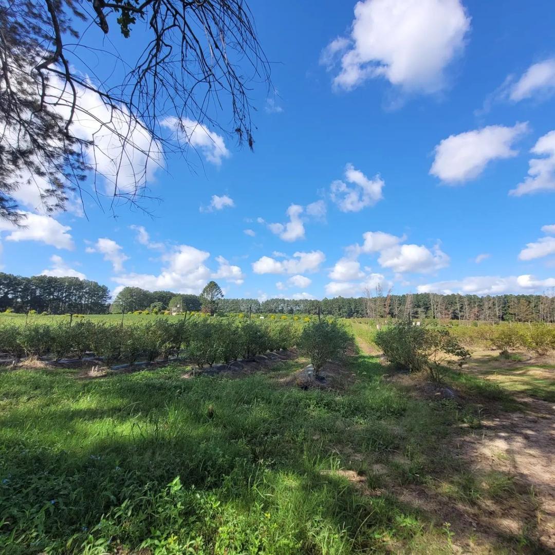 Excelente campo muy buena ubicación.