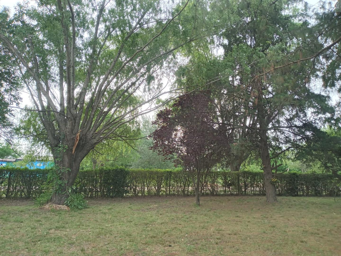 Calle 1 Y 33 Esquina Noroeste