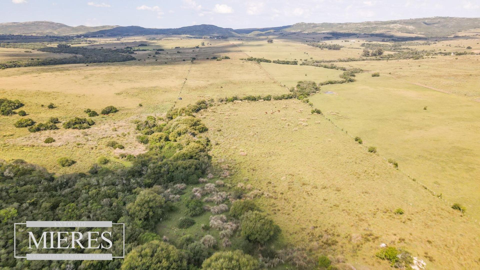 Venta de campo 29 ha con casa en Paso Dutra Maldonado