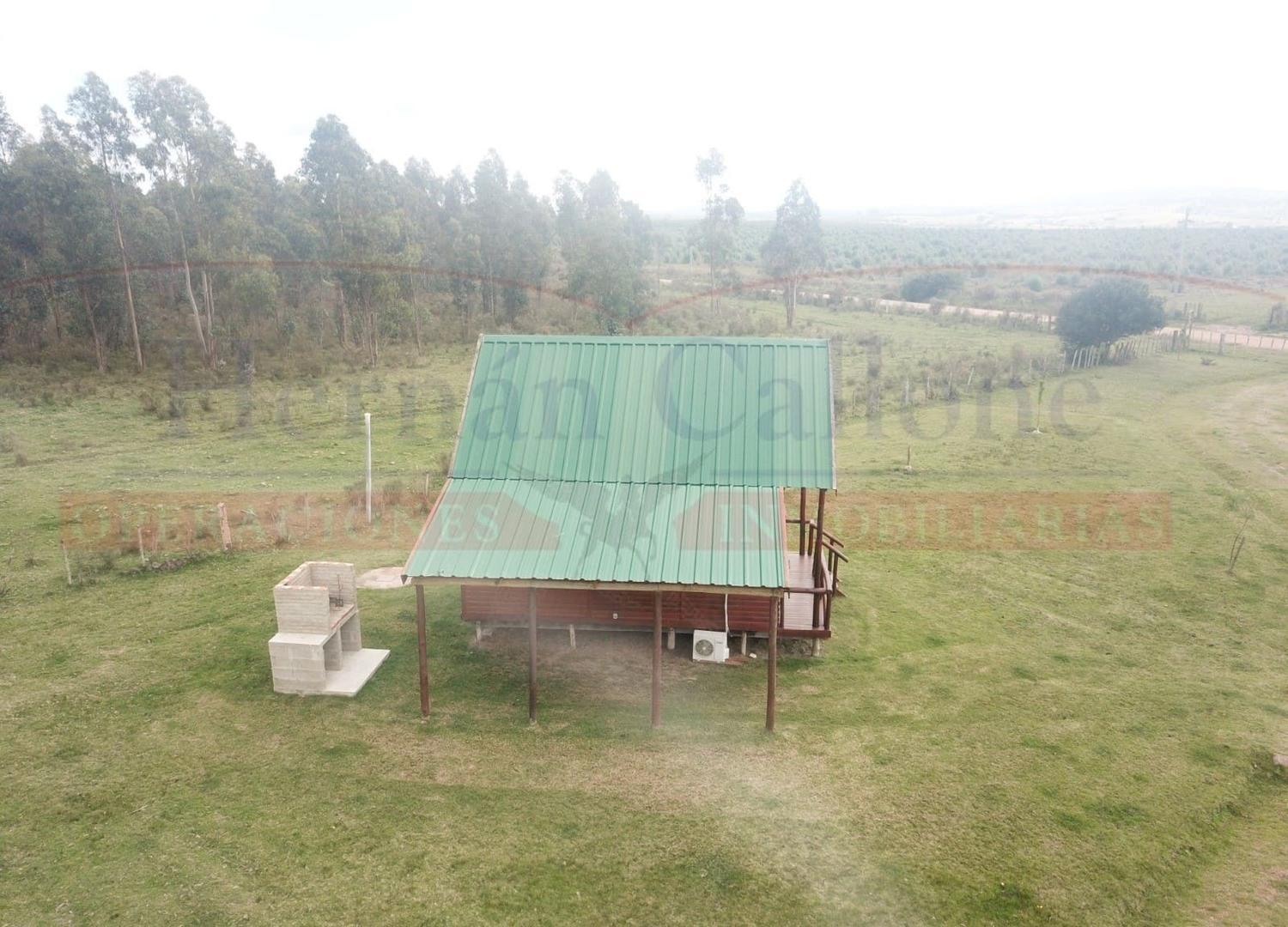 EXCELENTE CAMPO 13 HAS CON CABAÑAS EN MALDONADO, URUGUAY