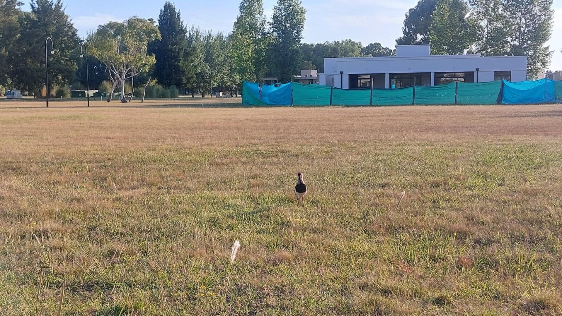 Terreno en Venta de 1200,0 m2