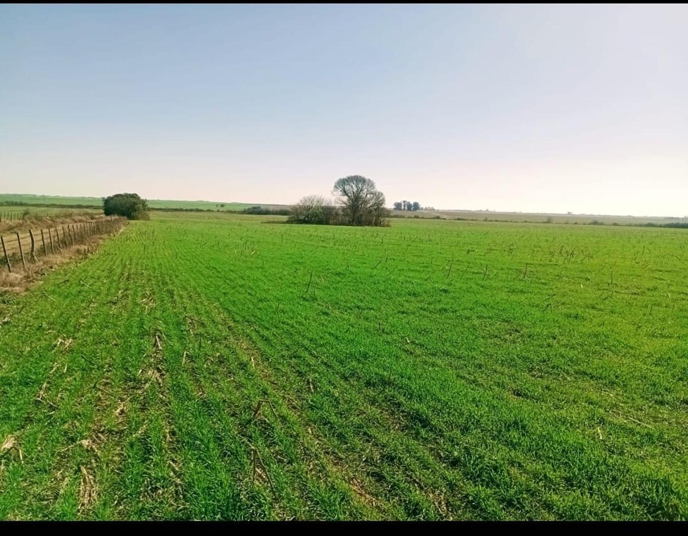 Hernandez Y Betbeder