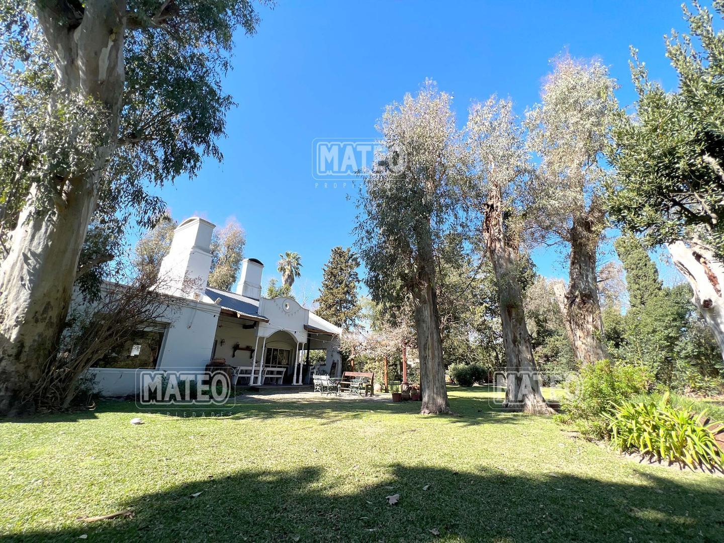 FONDO A PULMON VERDE