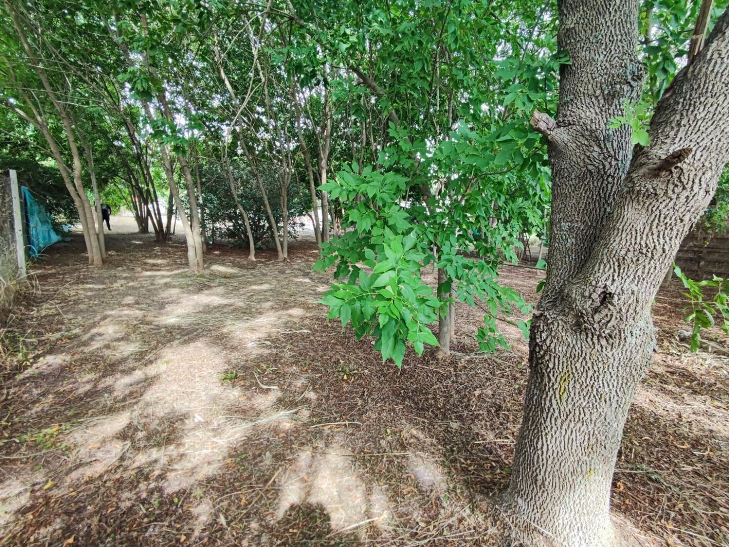 Terreno en Venta en Los Pioneros, USD 39.000