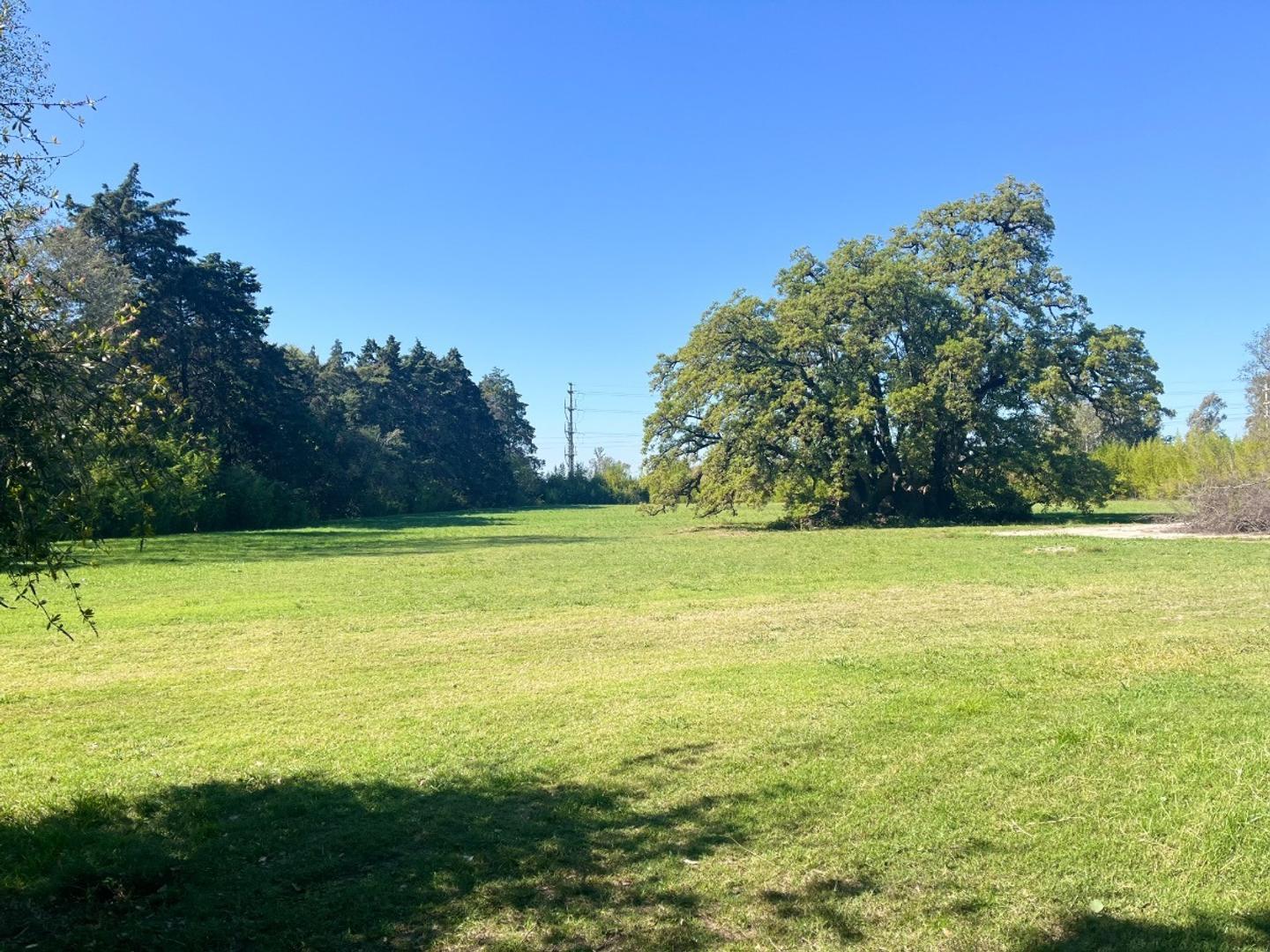 Lote en venta pilar.