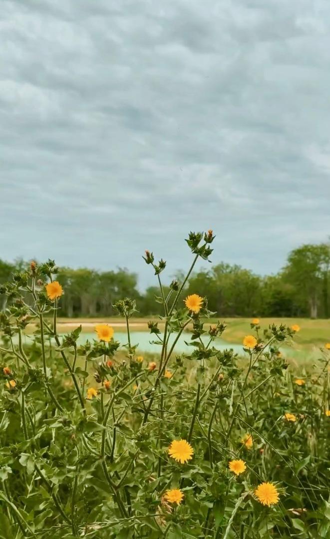 Terreno en Venta de 802,0 m2