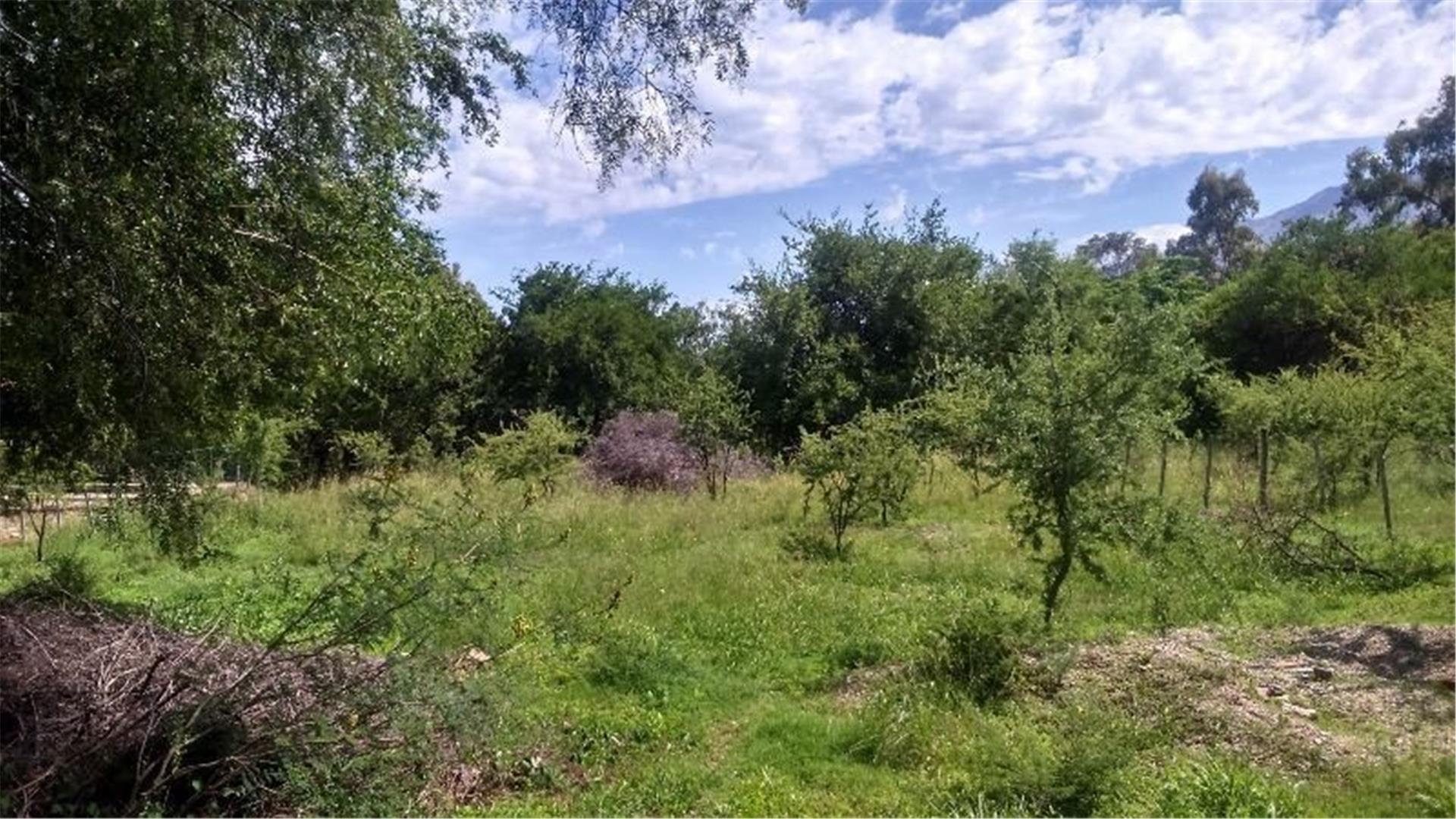 Consultar dirección