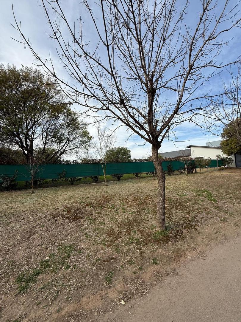 Terreno en  venta  Fincas del Sur 2